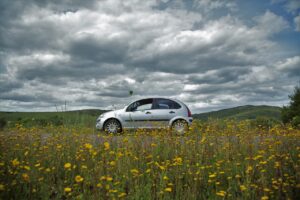 landscape, nature, grass-3333782.jpg